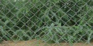 PVC Coated Chain Link Mesh Fence