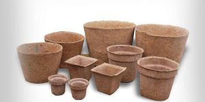 Coir Pot