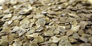 Raw Vermiculite Mineral