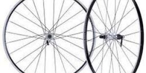 Cycle Rims