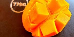 Alphonso Mangoes