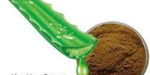 Aloe Vera Extract