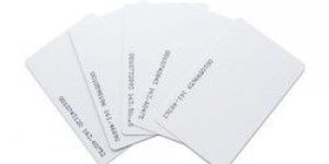 Plastic Biometric Attendance Card