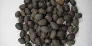 Lotus Seeds