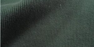 Single Jersey Fabric