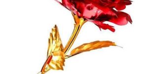 Gold Plated Rose