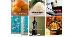 Geographical Indication Service