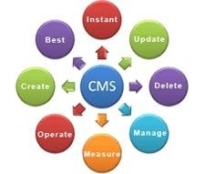 CMS Website Development