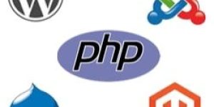 Dynamic Website Design