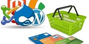 E Commerce Website Development