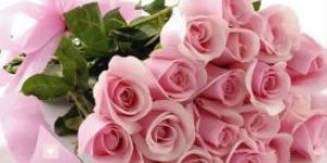 Pink Roses