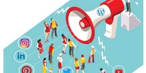 Social Media Promotion Services