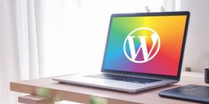 Wordpress Website Designing Services