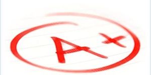 Online Reputation Management