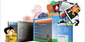 Web Application Development