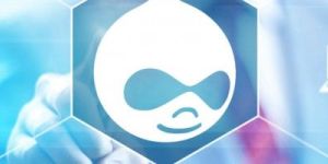 Drupal Development Service