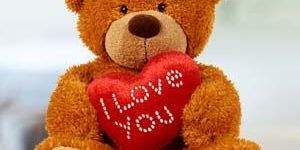 I Love You Teddy Bear