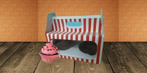 Handle Type Cake Boxes