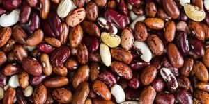 Kidney Beans