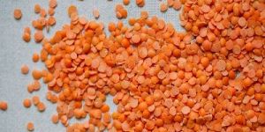 Red Lentils