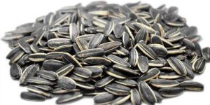 Sunflower Seeds
