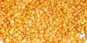 Yellow Pigeon Peas
