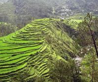 Almora - Jageshwar Tour Package