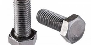 SS Hex Bolts