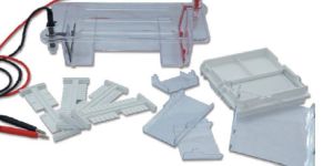 BICP-31DN Electrophoresis Cell