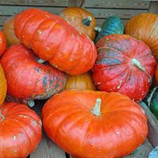 RED PUMPKIN