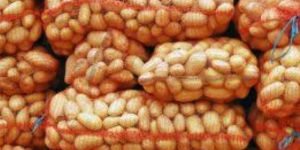 Fresh Pukhraj Potato