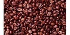 Cocoa Beans