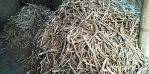 Teak Stump 5 Finger Size