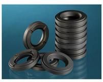Flexible Graphite Gaskets