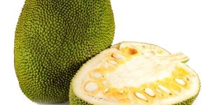 Fresh Jackfruit