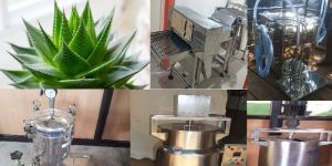 Aloe Vera Processing Machine