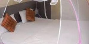 Foldable Mosquito Net