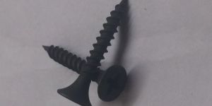Drywall Bugule Head Screw