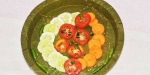 Disposable Leaf Plate