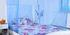 Decorative Mosquito Net