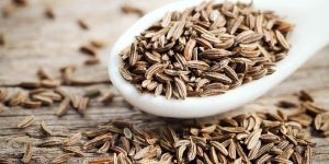 Dried Cumin Seeds