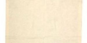 Printed Non Woven Bags