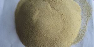 Manganese Amino Acid Chelate