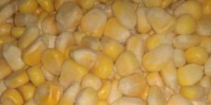 Frozen Sweet Corn
