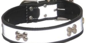 Nylon Designer Dog Belt