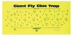 Insect Glue Trap