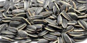 Sunflower Seeds