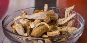 Dried Oyster Mushroom