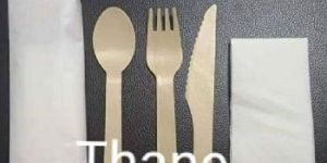 Wooden Ice Cream Spoon