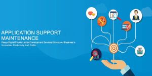 Application Support Maintenance Services
